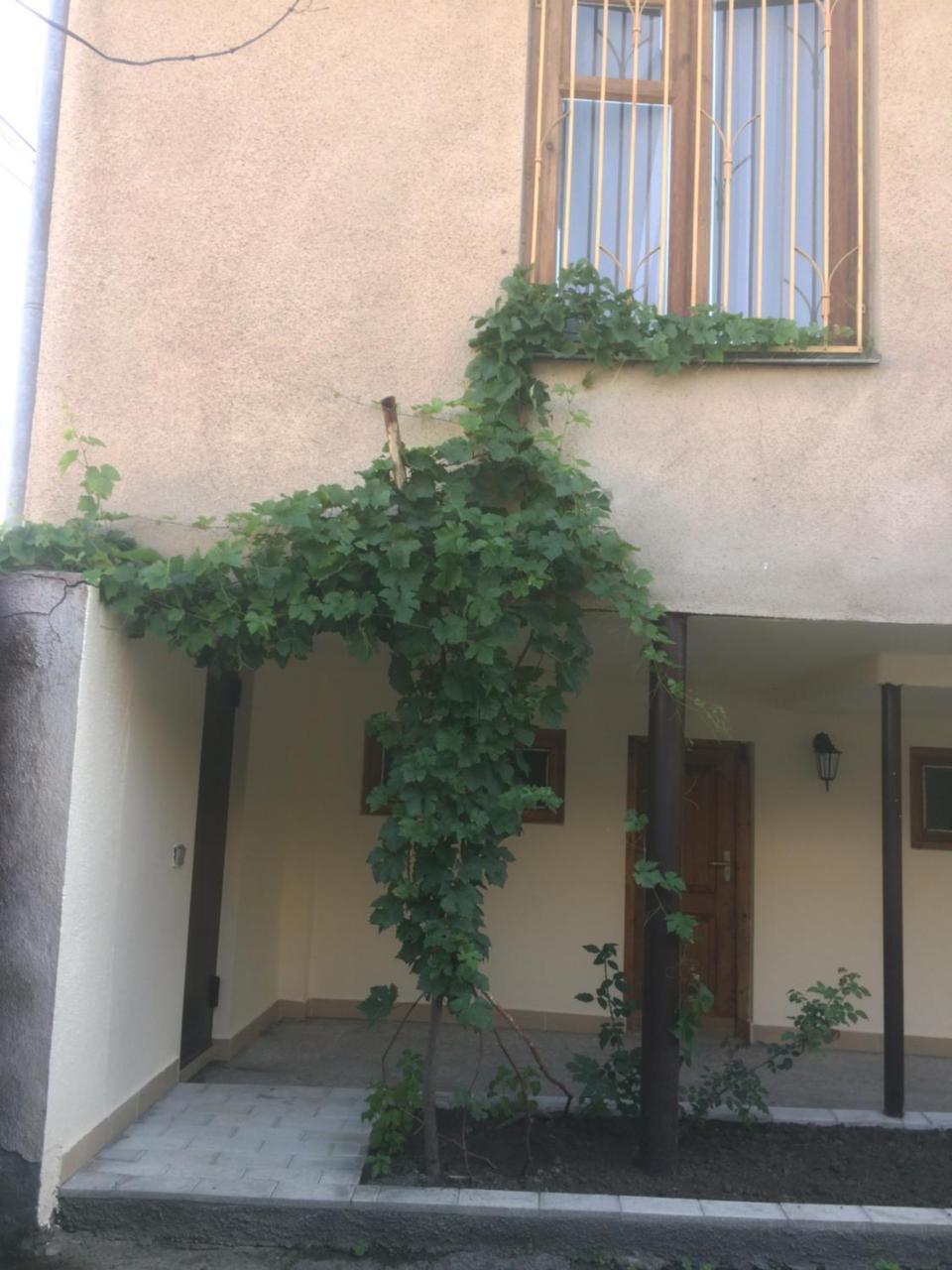 Отель Гостевой дом Kartuli Suli Телави Экстерьер фото
